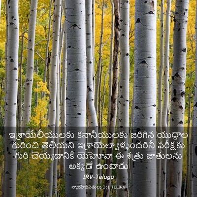 Picture 03 - న్యాయాధిపతులు 3:1 TELIRV - ఇశ్రాయేలీయులకు - Bible Verse Picture