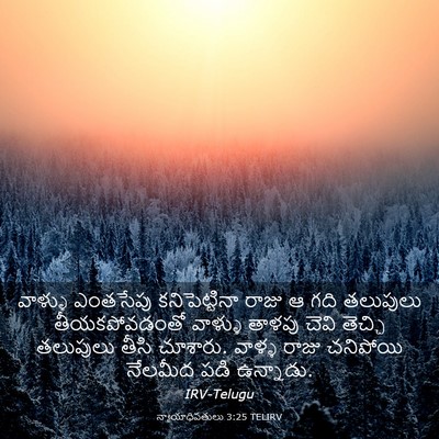Picture 03 - న్యాయాధిపతులు 3:25 TELIRV - వాళ్ళు ఎంతసేపు - Bible Verse Picture