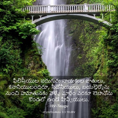 Picture 03 - న్యాయాధిపతులు 3:3 TELIRV - ఫిలిష్తీయుల - Bible Verse Picture