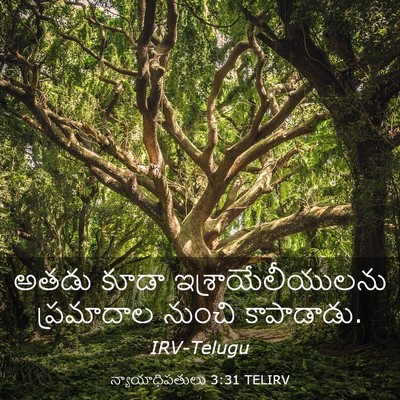 Picture 03 - న్యాయాధిపతులు 3:31 TELIRV - అతడు కూడా - Bible Verse Picture