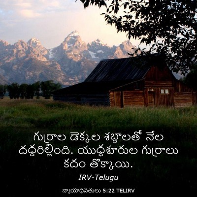 Picture 03 - న్యాయాధిపతులు 5:22 TELIRV - గుర్రాల డెక్కల - Bible Verse Picture