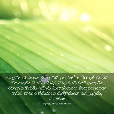 Picture 03 - న్యాయాధిపతులు 6:11 TELIRV - అప్పుడు యెహోవా - Bible Verse Picture