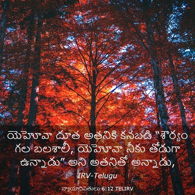 Picture 03 - న్యాయాధిపతులు 6:12 TELIRV - యెహోవా దూత అతనికి - Bible Verse Picture