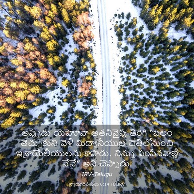 Picture 03 - న్యాయాధిపతులు 6:14 TELIRV - అప్పుడు యెహోవా - Bible Verse Picture