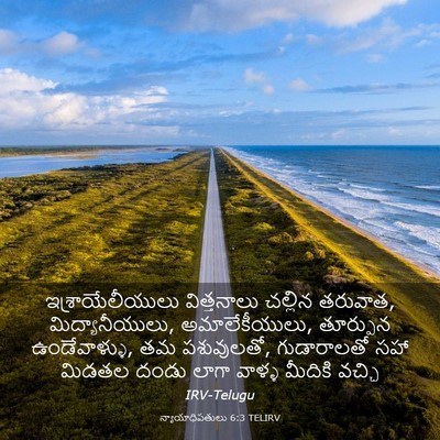 Picture 03 - న్యాయాధిపతులు 6:3 TELIRV - ఇశ్రాయేలీయులు - Bible Verse Picture