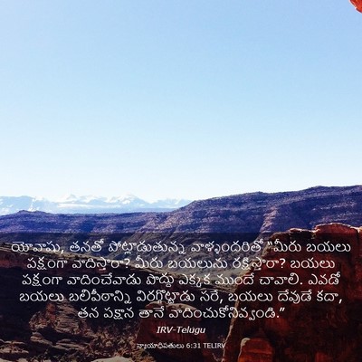 Picture 03 - న్యాయాధిపతులు 6:31 TELIRV - యోవాషు, తనతో - Bible Verse Picture