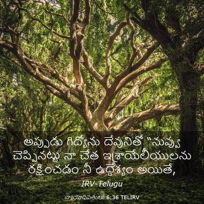 Picture 03 - న్యాయాధిపతులు 6:36 TELIRV - అప్పుడు గిద్యోను - Bible Verse Picture
