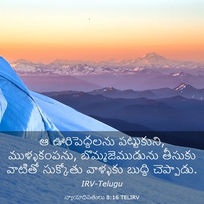 Picture 03 - న్యాయాధిపతులు 8:16 TELIRV - ఆ ఊరిపెద్దలను - Bible Verse Picture