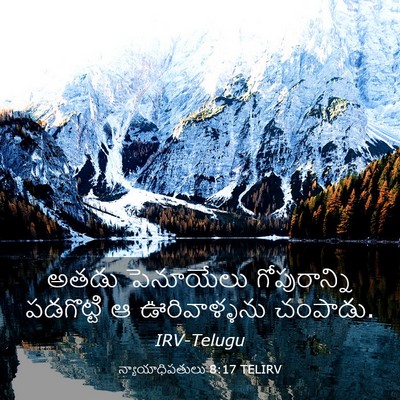 Picture 03 - న్యాయాధిపతులు 8:17 TELIRV - అతడు పెనూయేలు - Bible Verse Picture