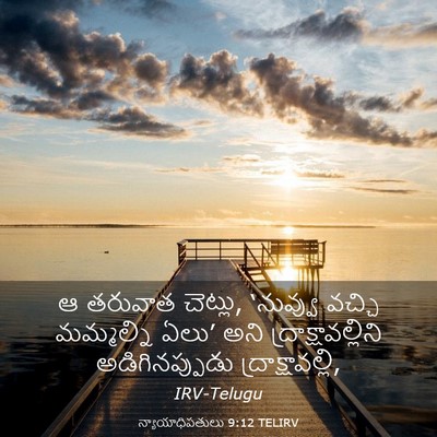 Picture 03 - న్యాయాధిపతులు 9:12 TELIRV - ఆ తరువాత చెట్లు, - Bible Verse Picture
