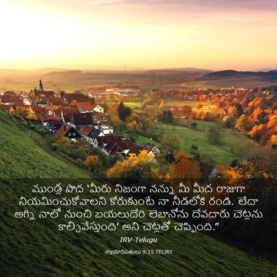 Picture 03 - న్యాయాధిపతులు 9:15 TELIRV - ముండ్ల పొద ‘మీరు - Bible Verse Picture