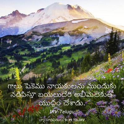 Picture 03 - న్యాయాధిపతులు 9:39 TELIRV - గాలు షెకెము - Bible Verse Picture