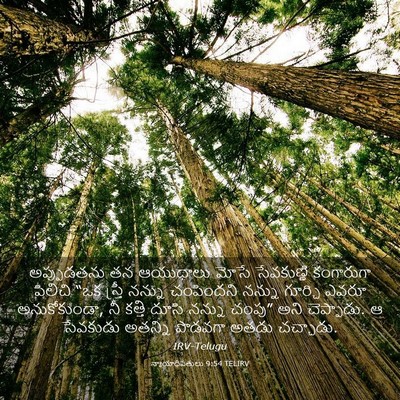 Picture 03 - న్యాయాధిపతులు 9:54 TELIRV - అప్పుడతను తన - Bible Verse Picture
