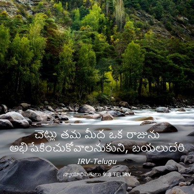 Picture 03 - న్యాయాధిపతులు 9:8 TELIRV - చెట్లు తమ మీద ఒక - Bible Verse Picture