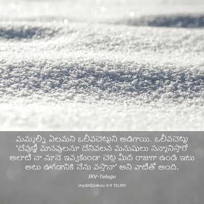 Picture 03 - న్యాయాధిపతులు 9:9 TELIRV - మమ్మల్ని ఏలమని - Bible Verse Picture