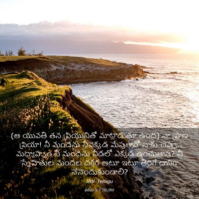 Picture 03 - పరమ 1:7 TELIRV - (ఆ యువతి తన - Bible Verse Picture