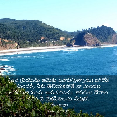 Picture 03 - పరమ 1:8 TELIRV - (తన ప్రియుడు ఆమెకు - Bible Verse Picture