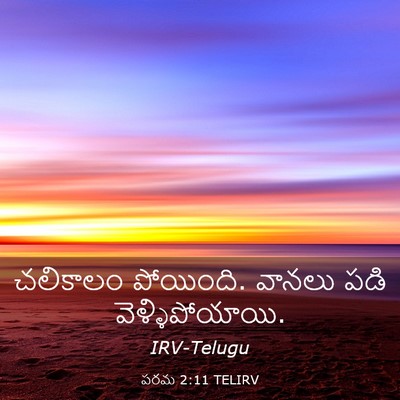 Picture 03 - పరమ 2:11 TELIRV - చలికాలం పోయింది. - Bible Verse Picture