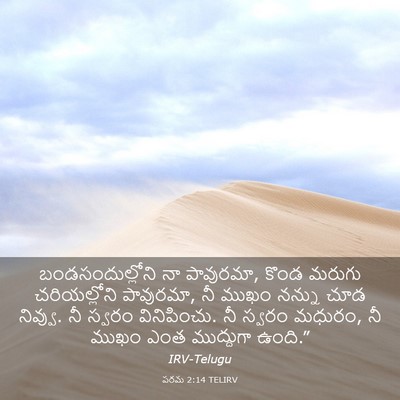 Picture 03 - పరమ 2:14 TELIRV - బండసందుల్లోని నా - Bible Verse Picture