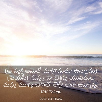 Picture 03 - పరమ 2:2 TELIRV - (ఆ వ్యక్తి ఆమెతో - Bible Verse Picture