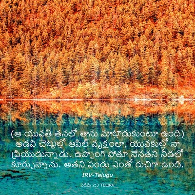 Picture 03 - పరమ 2:3 TELIRV - (ఆ యువతి తనలో తాను - Bible Verse Picture