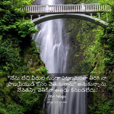 Picture 03 - పరమ 3:2 TELIRV - “నేను లేచి వీధుల - Bible Verse Picture
