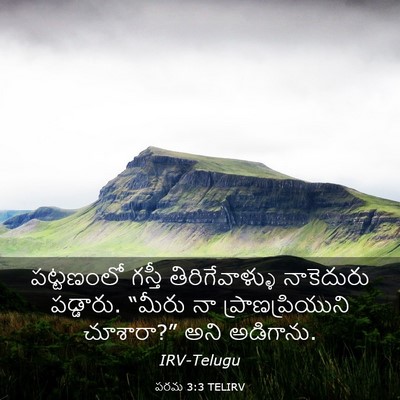 Picture 03 - పరమ 3:3 TELIRV - పట్టణంలో గస్తీ - Bible Verse Picture