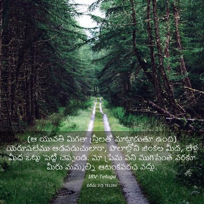 Picture 03 - పరమ 3:5 TELIRV - (ఆ యువతి మిగతా - Bible Verse Picture