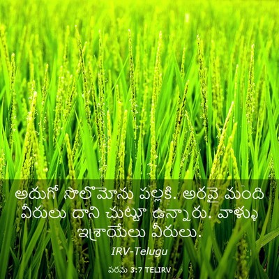 Picture 03 - పరమ 3:7 TELIRV - అదుగో సొలొమోను - Bible Verse Picture