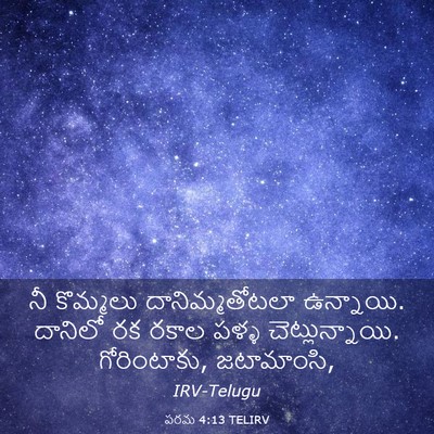 Picture 03 - పరమ 4:13 TELIRV - నీ కొమ్మలు - Bible Verse Picture