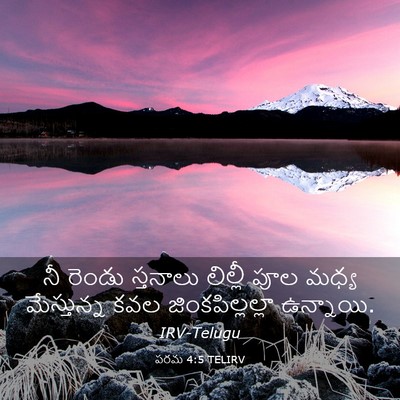 Picture 03 - పరమ 4:5 TELIRV - నీ రెండు స్తనాలు - Bible Verse Picture