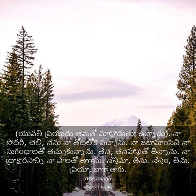 Picture 03 - పరమ 5:1 TELIRV - (యువతి ప్రియుడు - Bible Verse Picture