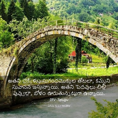 Picture 03 - పరమ 5:13 TELIRV - అతని చెక్కిళ్ళు - Bible Verse Picture