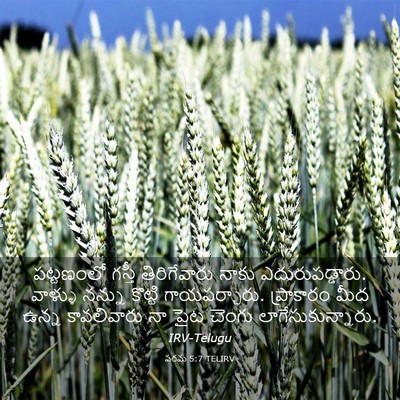 Picture 03 - పరమ 5:7 TELIRV - పట్టణంలో గస్తీ - Bible Verse Picture