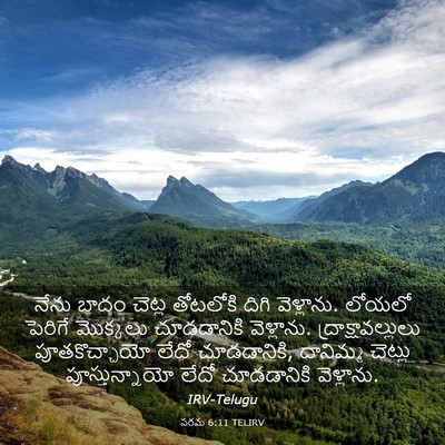 Picture 03 - పరమ 6:11 TELIRV - నేను బాదం చెట్ల - Bible Verse Picture