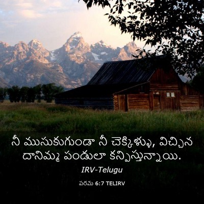 Picture 03 - పరమ 6:7 TELIRV - నీ ముసుకుగుండా నీ - Bible Verse Picture