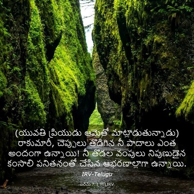 Picture 03 - పరమ 7:1 TELIRV - (యువతి ప్రియుడు - Bible Verse Picture