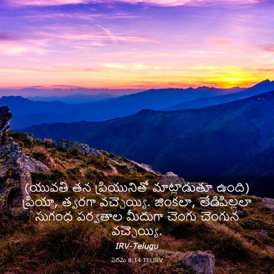 Picture 03 - పరమ 8:14 TELIRV - (యువతి తన - Bible Verse Picture