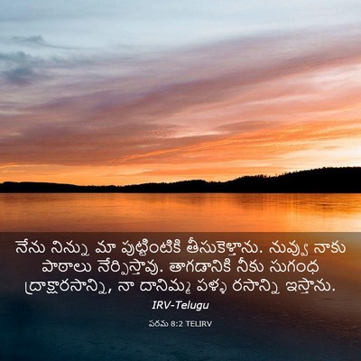 Picture 03 - పరమ 8:2 TELIRV - నేను నిన్ను మా - Bible Verse Picture