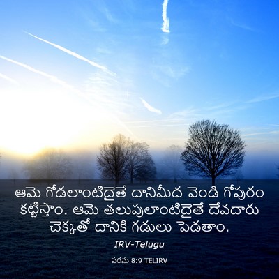 Picture 03 - పరమ 8:9 TELIRV - ఆమె గోడలాంటిదైతే - Bible Verse Picture