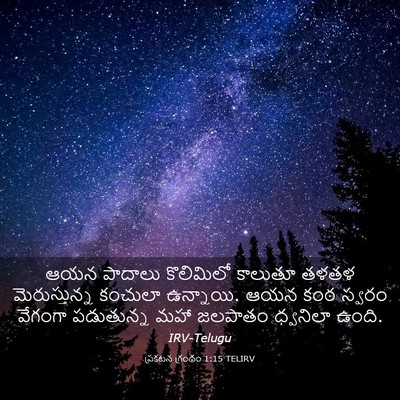 Picture 03 - ప్రకటన గ్రంథం 1:15 TELIRV - ఆయన పాదాలు - Bible Verse Picture