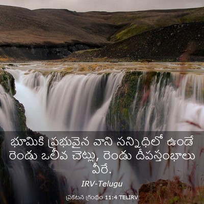 Picture 03 - ప్రకటన గ్రంథం 11:4 TELIRV - భూమికి ప్రభువైన - Bible Verse Picture