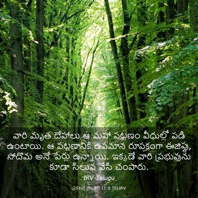 Picture 03 - ప్రకటన గ్రంథం 11:8 TELIRV - వారి మృత దేహాలు ఆ - Bible Verse Picture