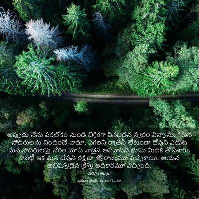 Picture 03 - ప్రకటన గ్రంథం 12:10 TELIRV - అప్పుడు నేను - Bible Verse Picture