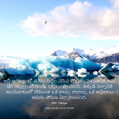 Picture 03 - ప్రకటన గ్రంథం 12:14 TELIRV - కానీ అరణ్యంలో - Bible Verse Picture