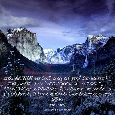 Picture 03 - ప్రకటన గ్రంథం 12:4 TELIRV - వాడు తన తోకతో - Bible Verse Picture