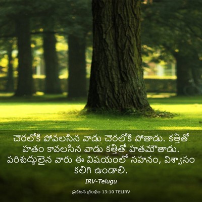 Picture 03 - ప్రకటన గ్రంథం 13:10 TELIRV - చెరలోకి పోవలసిన - Bible Verse Picture