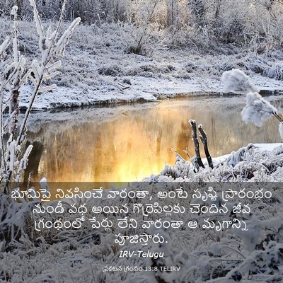 Picture 03 - ప్రకటన గ్రంథం 13:8 TELIRV - భూమిపై నివసించే - Bible Verse Picture