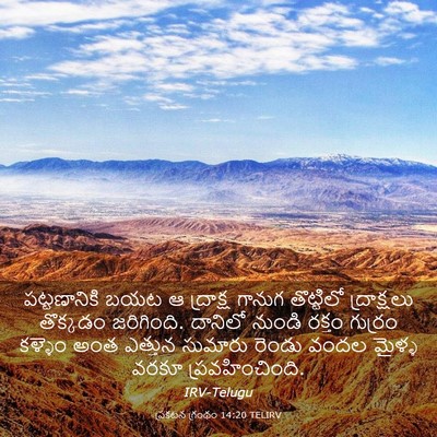 Picture 03 - ప్రకటన గ్రంథం 14:20 TELIRV - పట్టణానికి బయట ఆ - Bible Verse Picture