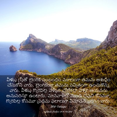 Picture 03 - ప్రకటన గ్రంథం 14:4 TELIRV - వీళ్ళు స్త్రీతో - Bible Verse Picture